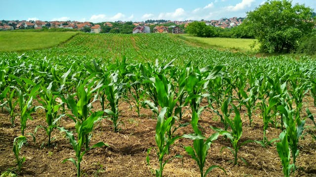 Agricultural Technology